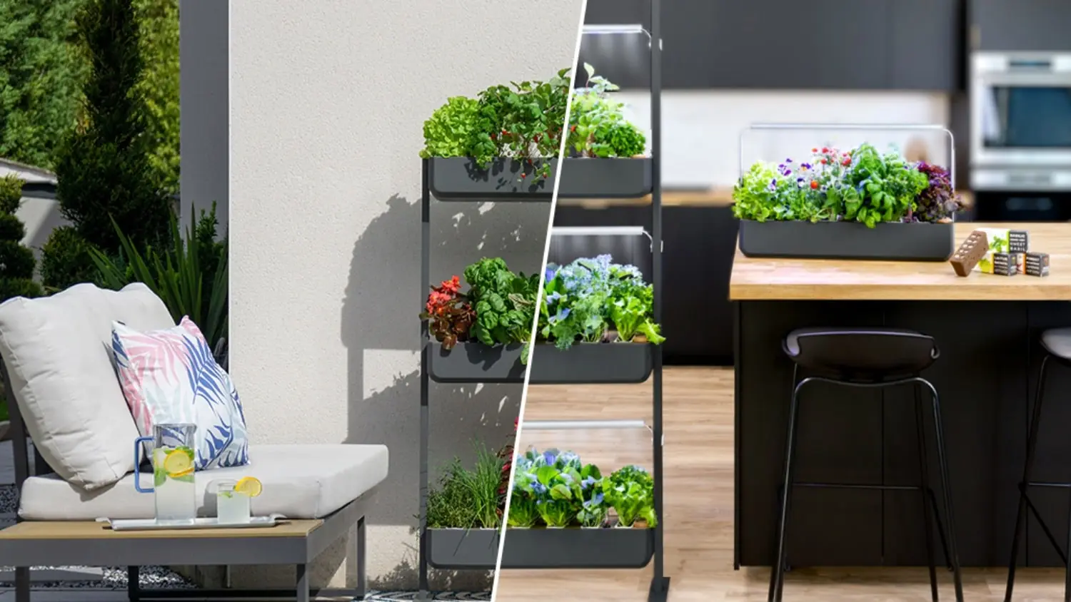 veritable potager