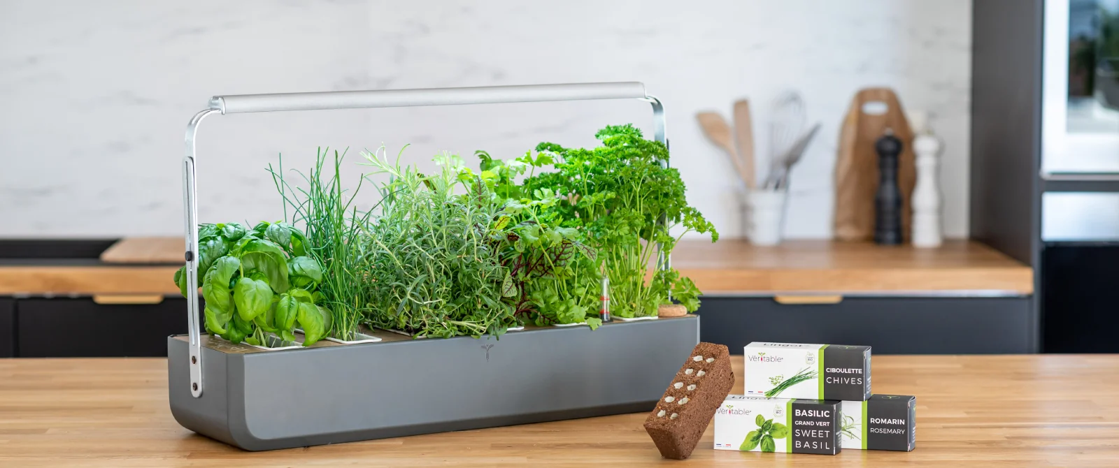 GOURMET: AUTONOMOUS GARDEN WITH PLANT REFILLS