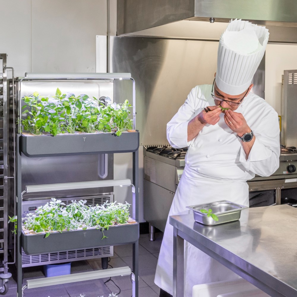 Discover the Gourmet Indoor range for restaurateurs and interior designers