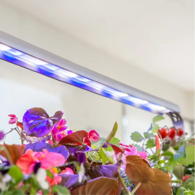 Eclairage LED horticole