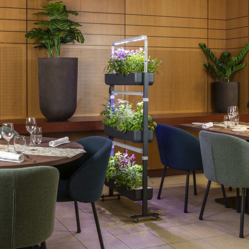 Gourmet est l'allié des plus grands chefs