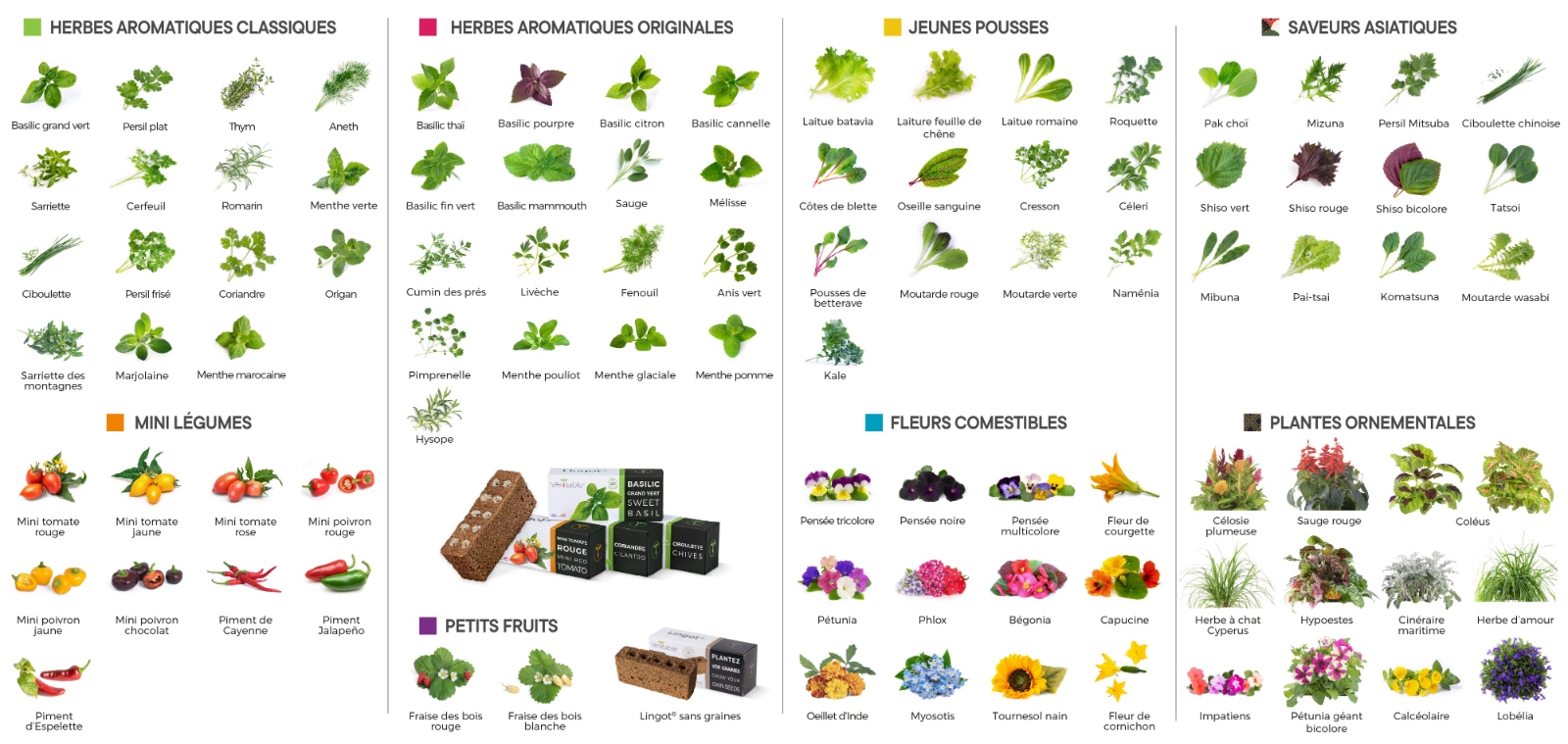 Toutes les variétés de plantes disponibles chez Véritable