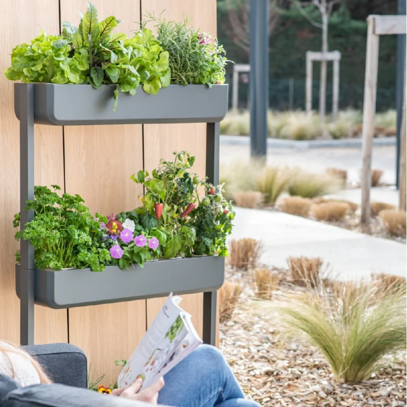 Le Lingot : une recharge de plante naturelle prête à l'emploi