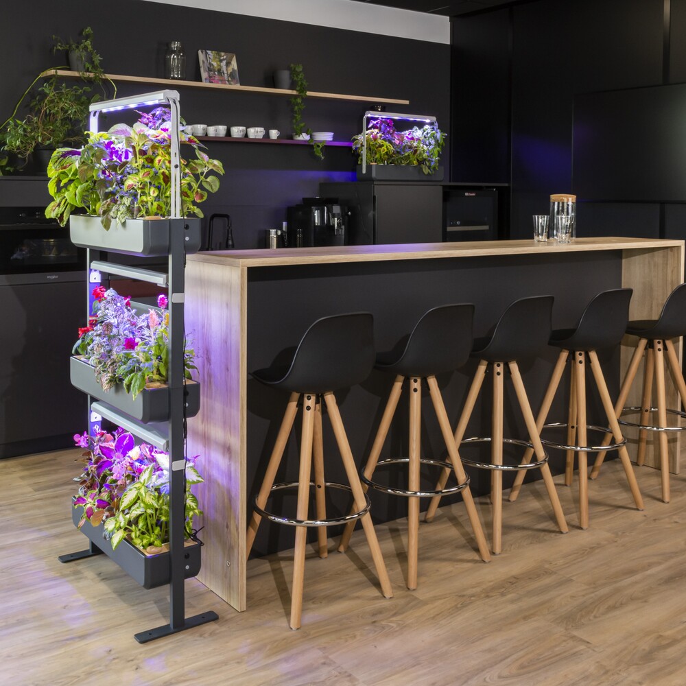 Gourmet est une solution de végétalisation innovante en entreprise