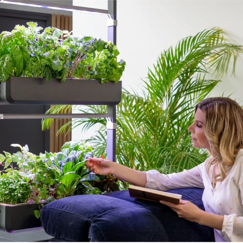 Le Lingot : une recharge de plante naturelle prête à l'emploi