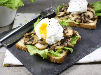 toast oeuf champignons salade