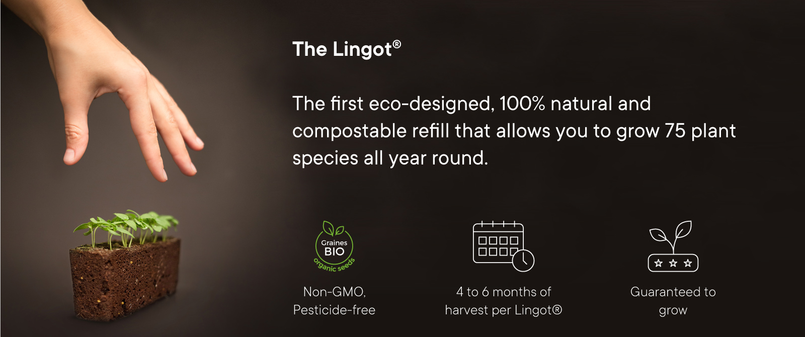 Lingot concept banner