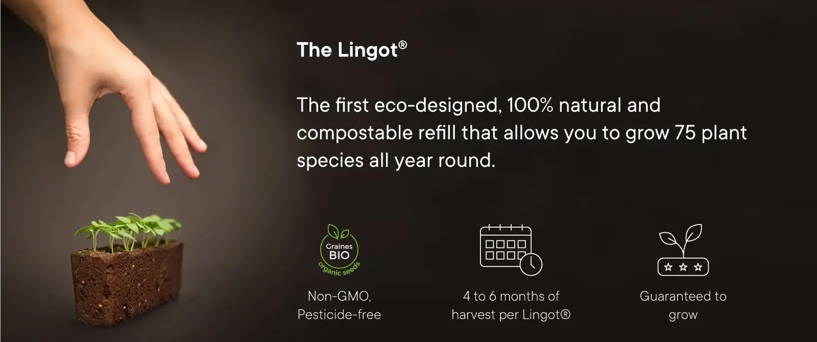 Lingot concept banner