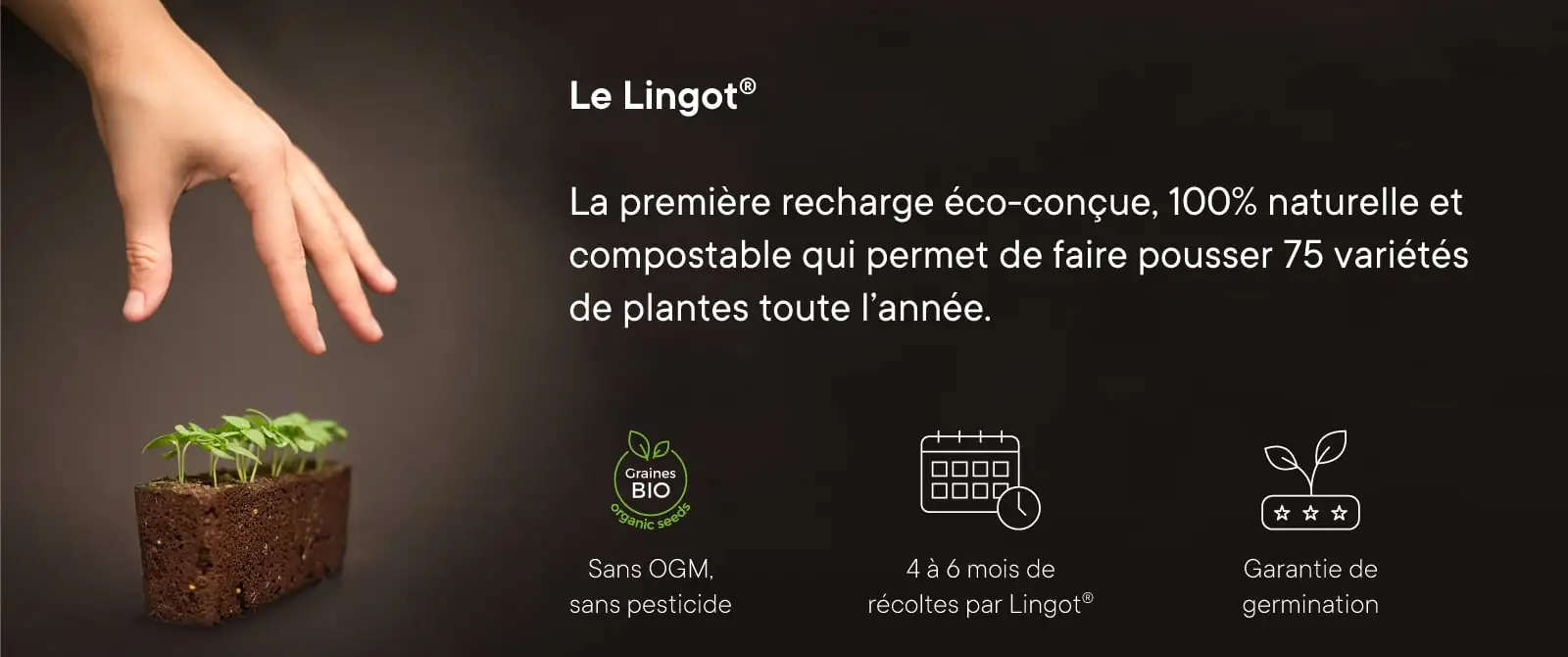 Bannière concept du Lingot