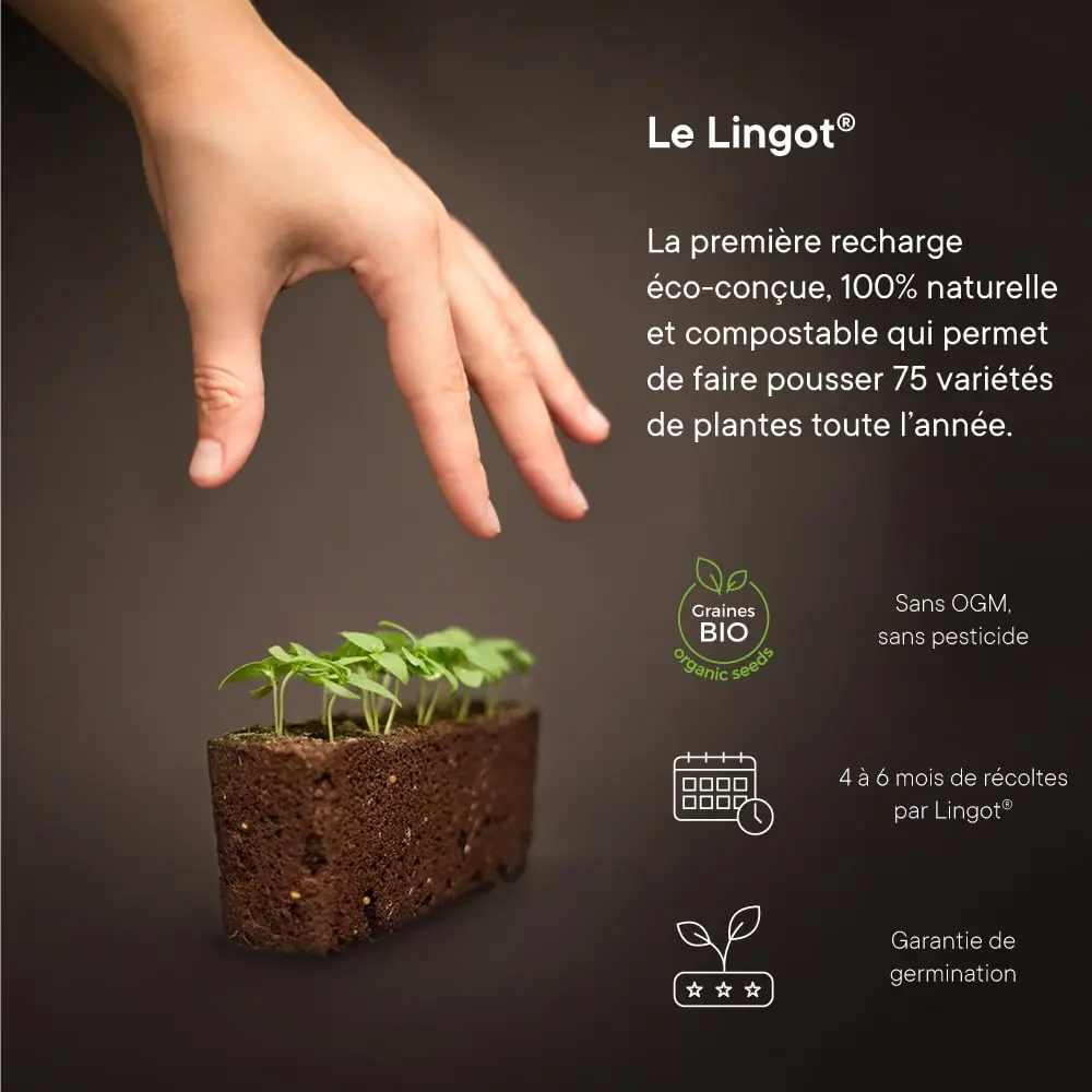 Bannière concept du Lingot