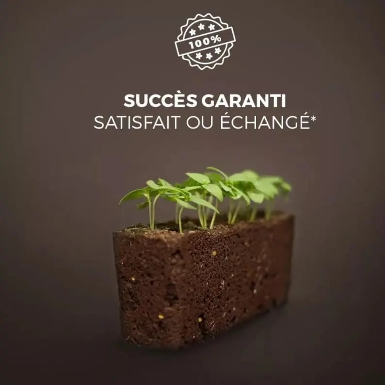 SUCCÈS GARANTI "SATISFAIT OU ÉCHANGÉ"