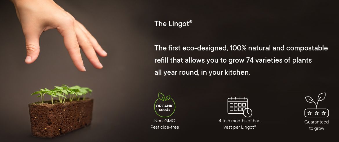 The Lingot®: a natural ready-to-use plant refill​