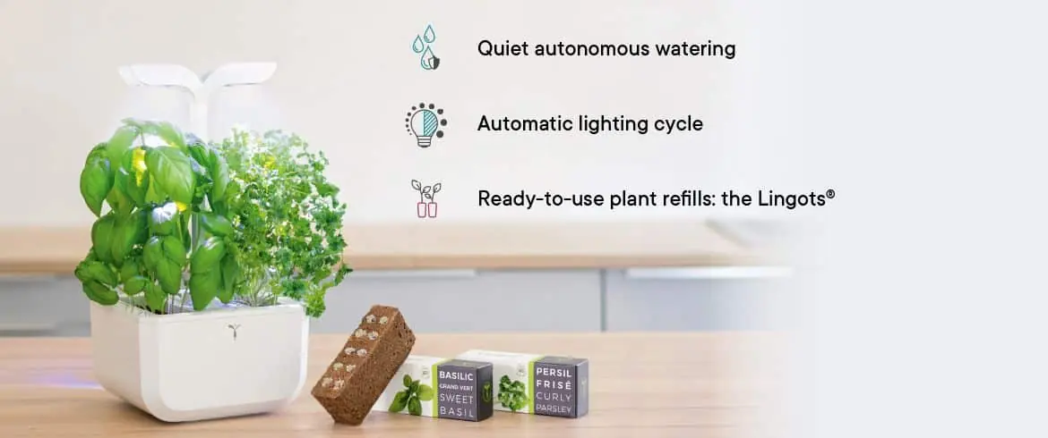 What is an autonomous garden?