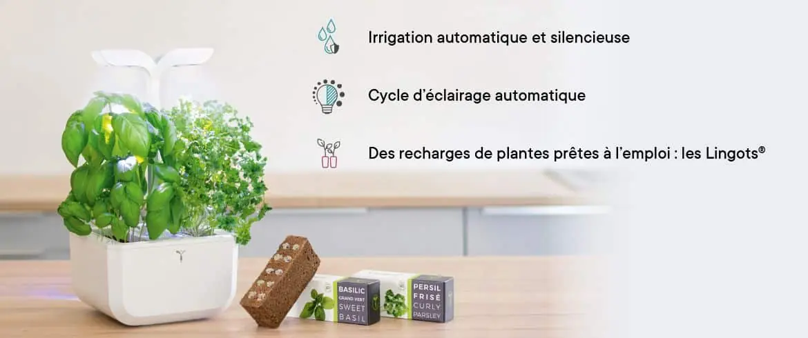 Concept du potager