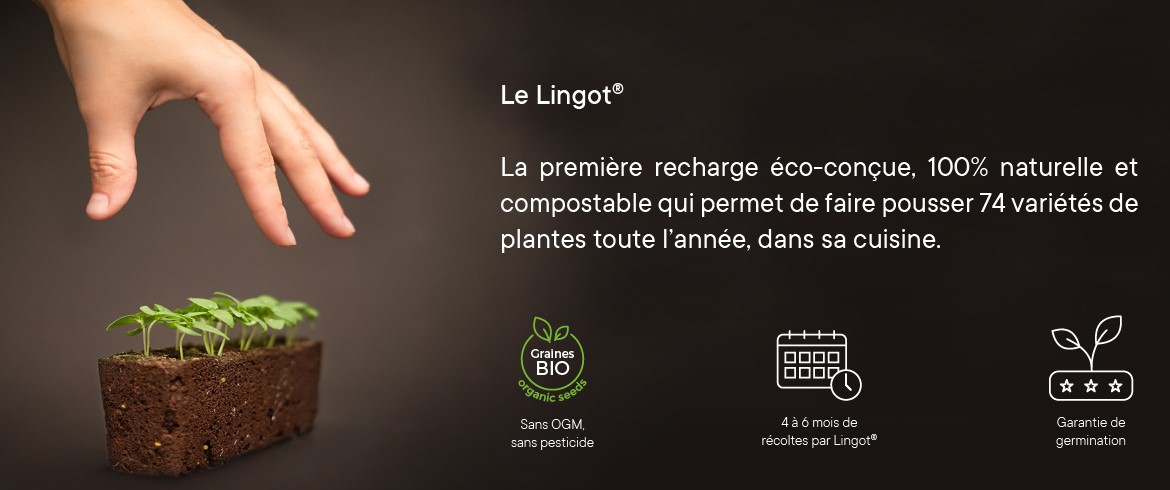 Bannière concept du Lingot