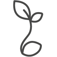 1-Icone-sprout_1.png