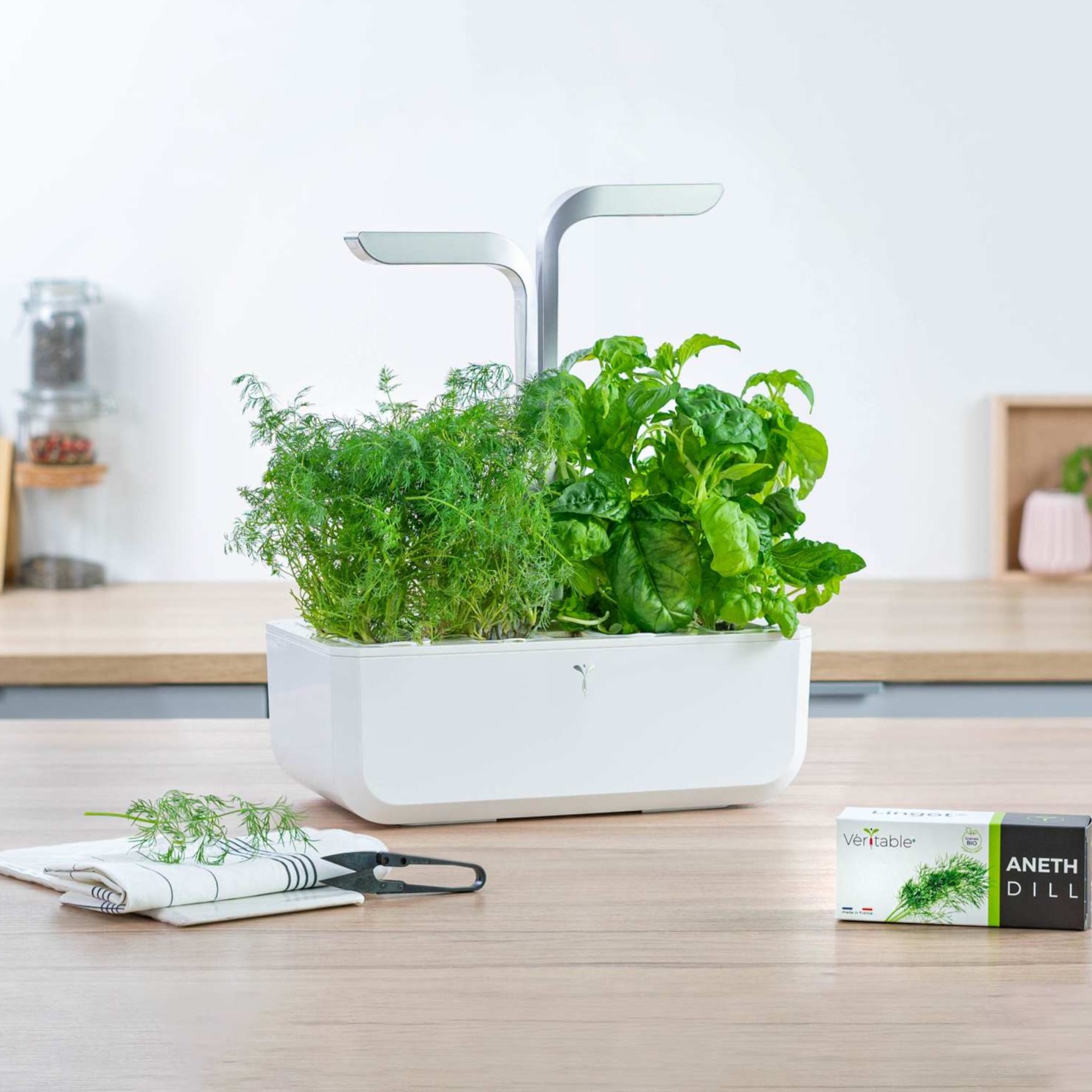 Les herbes fraîches & acidulées Les herbes fraîches & acidulées