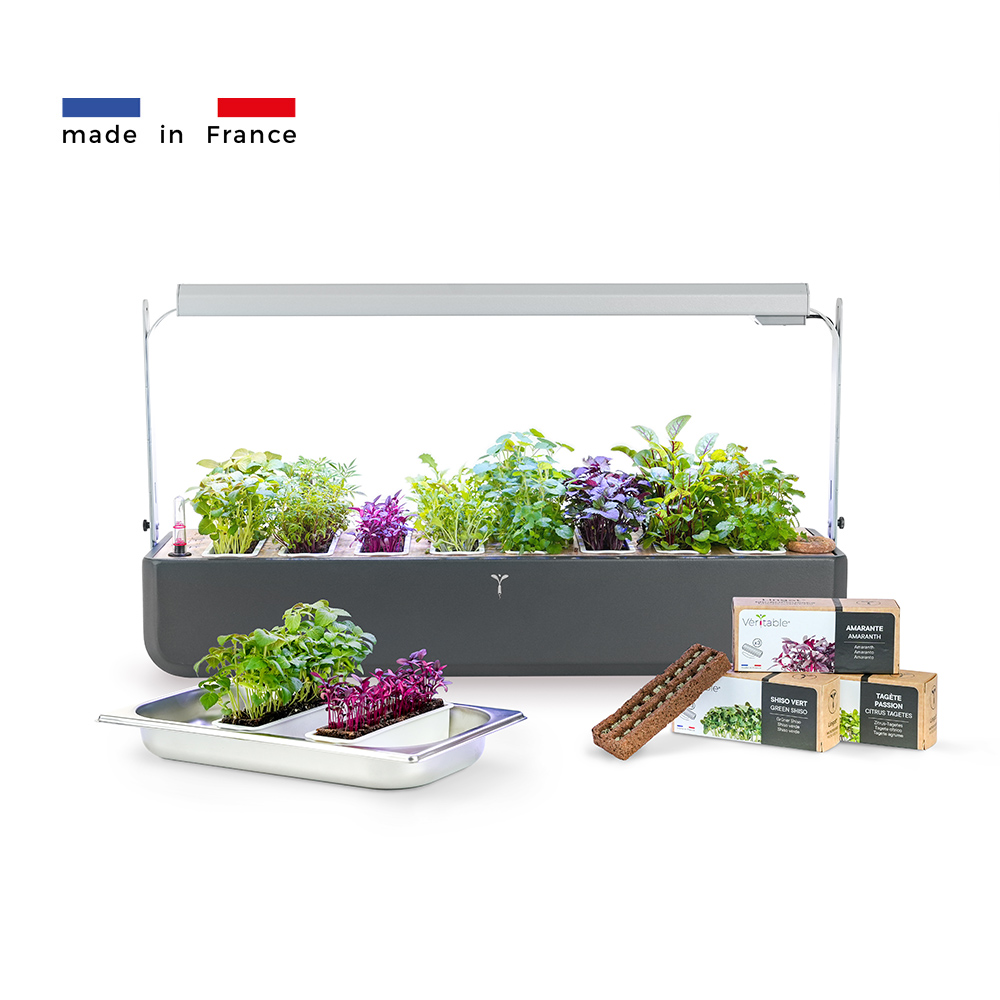 Gourmet 4x spécial micropousses