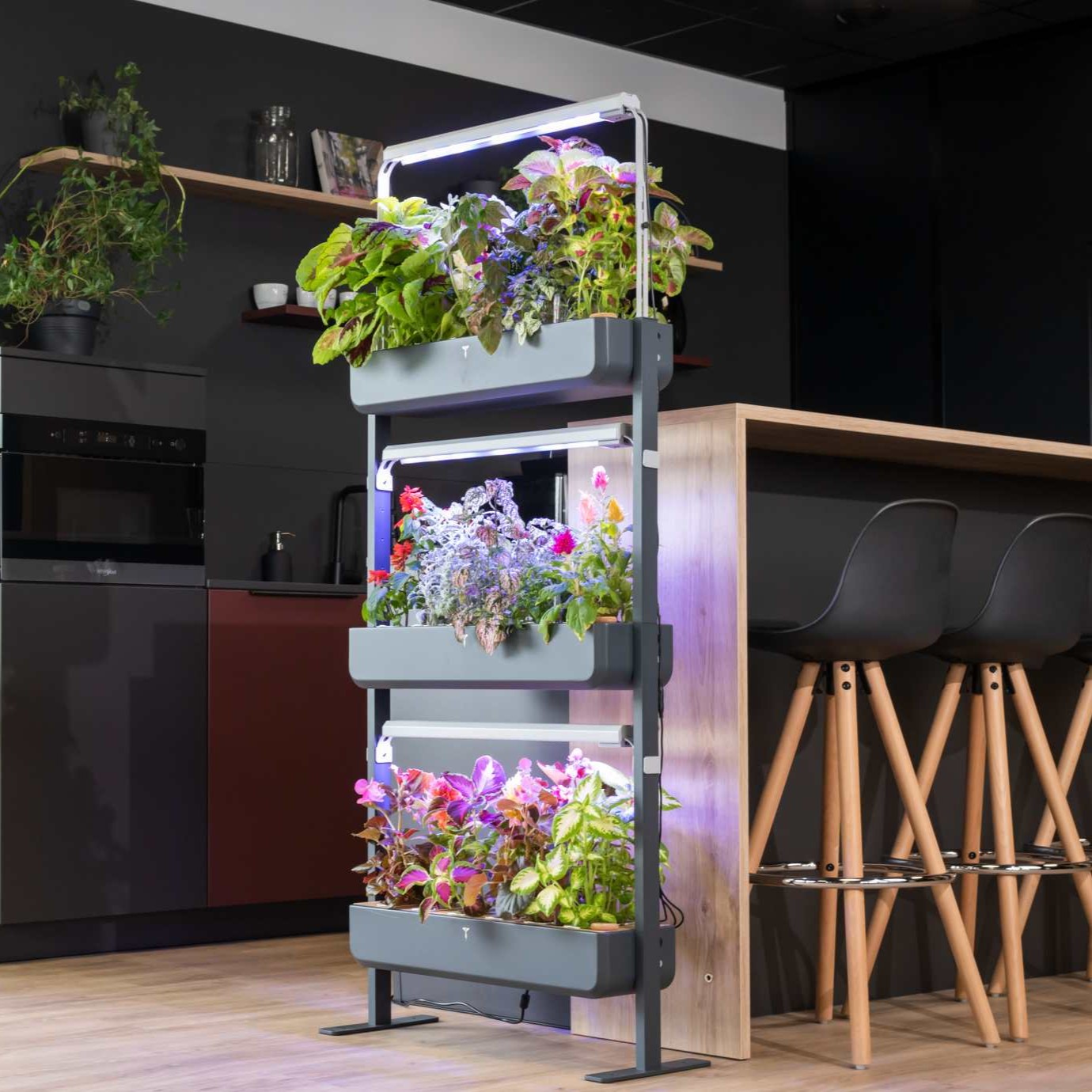 Planting in the break room