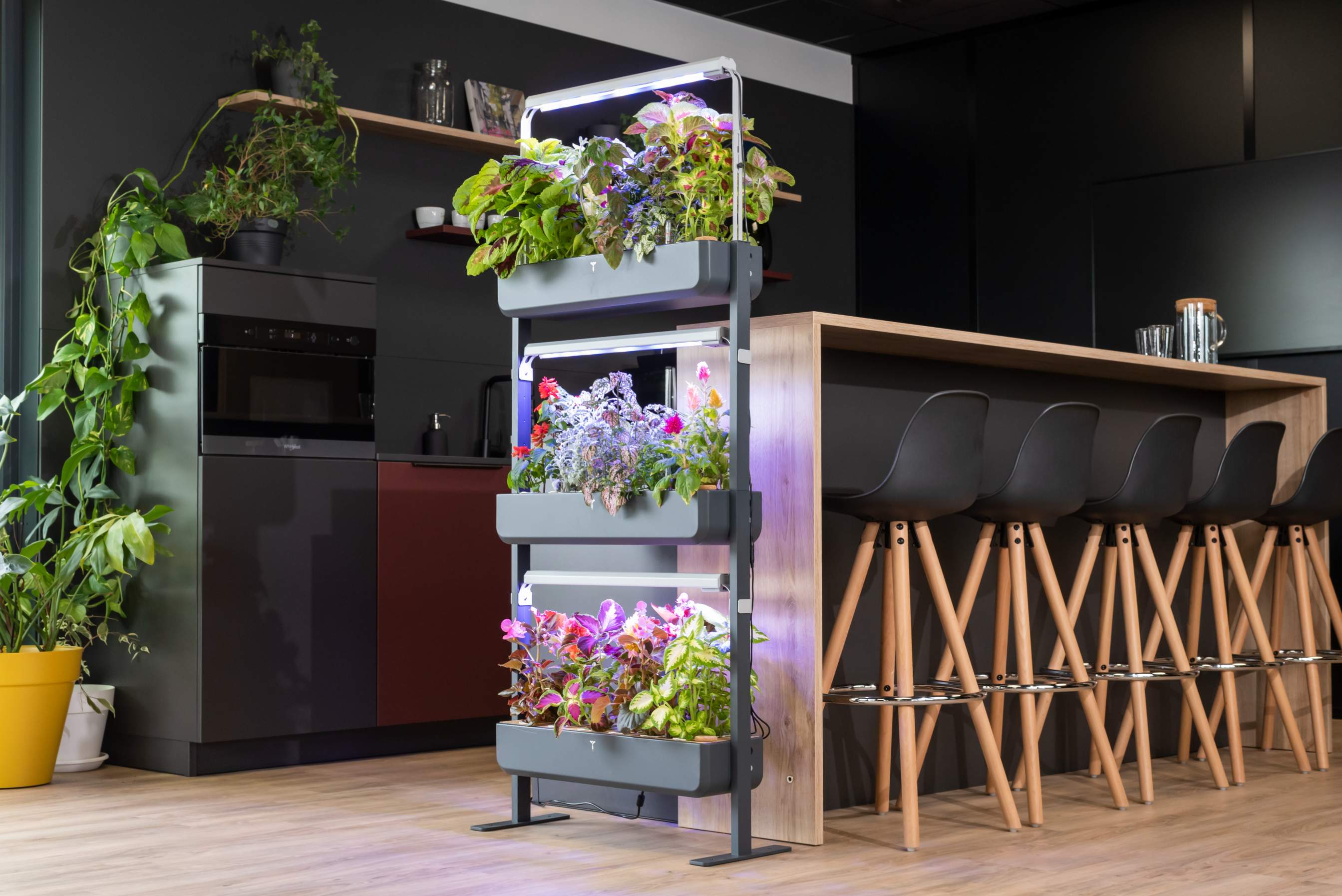 Ornamental: greening spaces