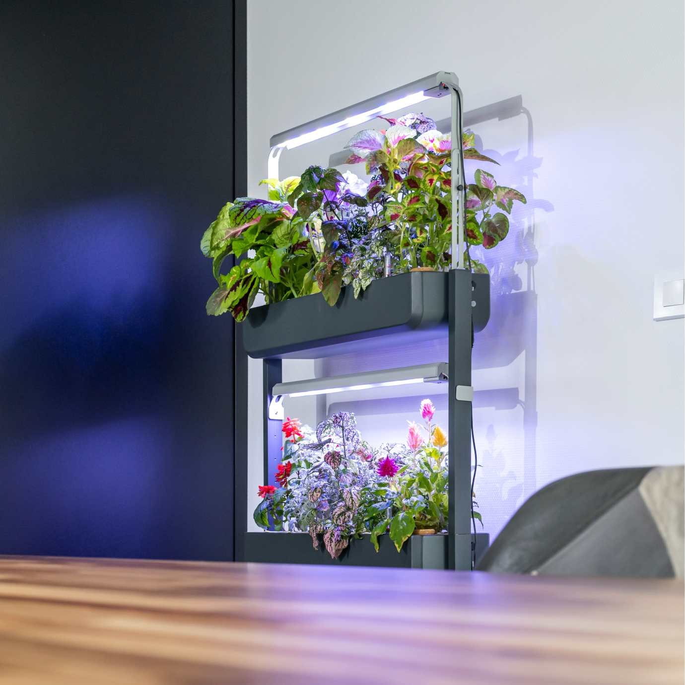 Greening of meeting rooms
