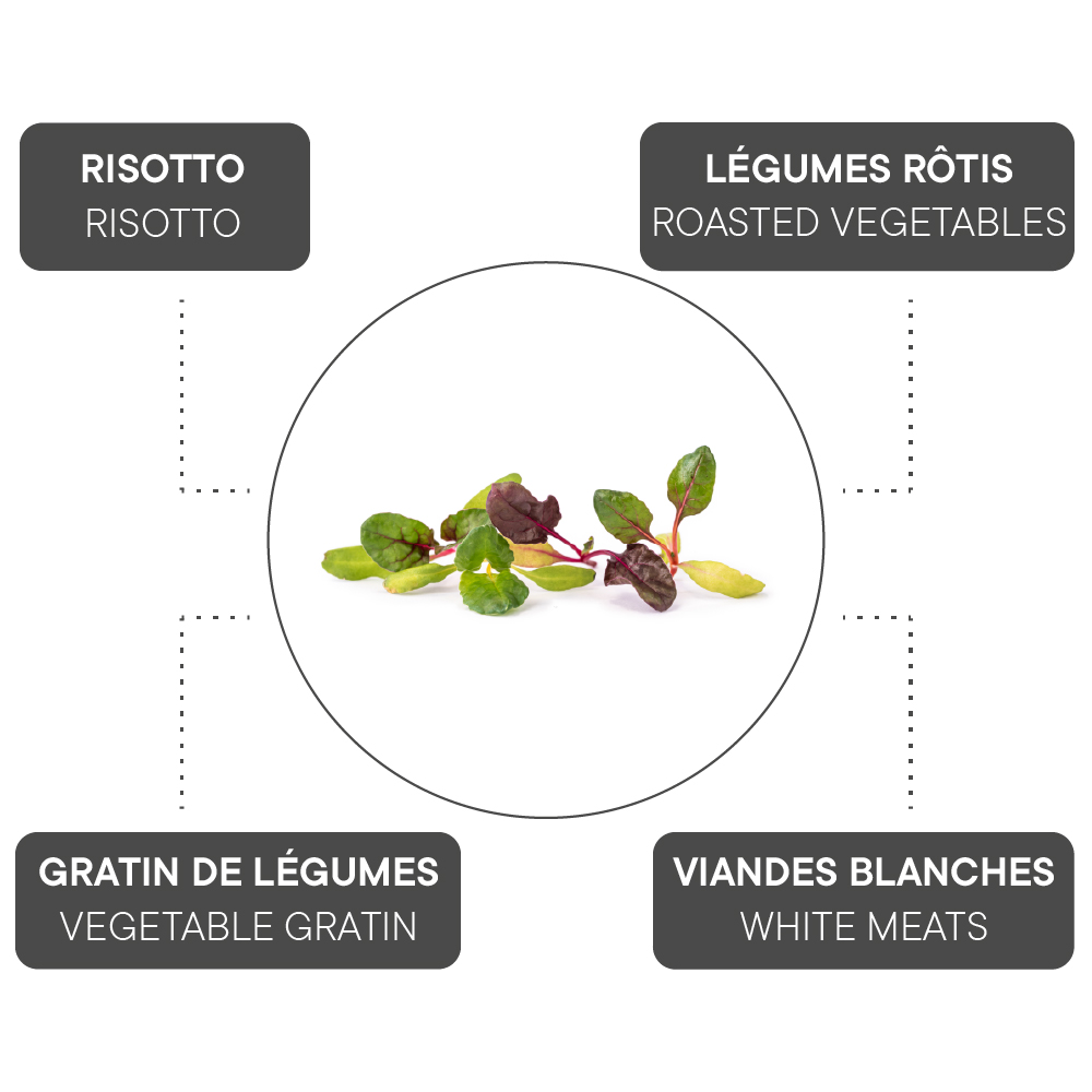 Comment associer la Blette ?