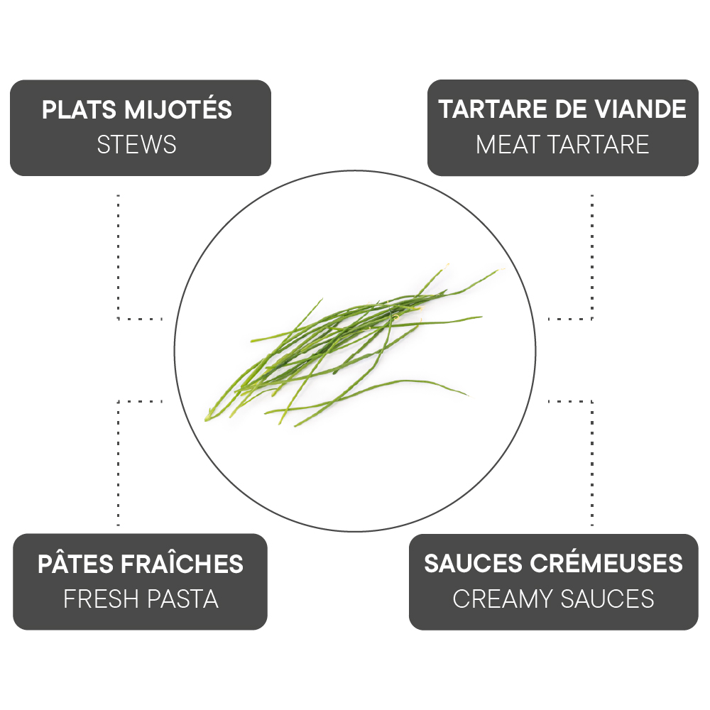 How to combine Dill?