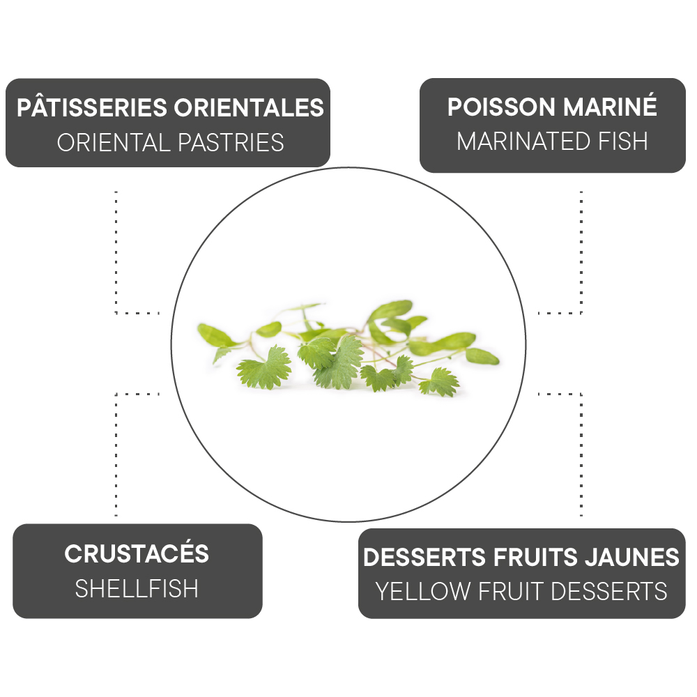 How to combine Green anise?