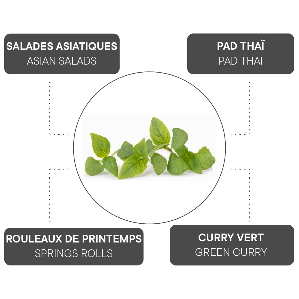 How to combine Thai Basil?