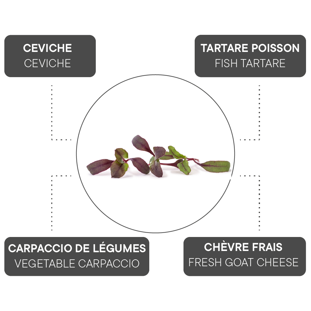 How to combine Beet?
