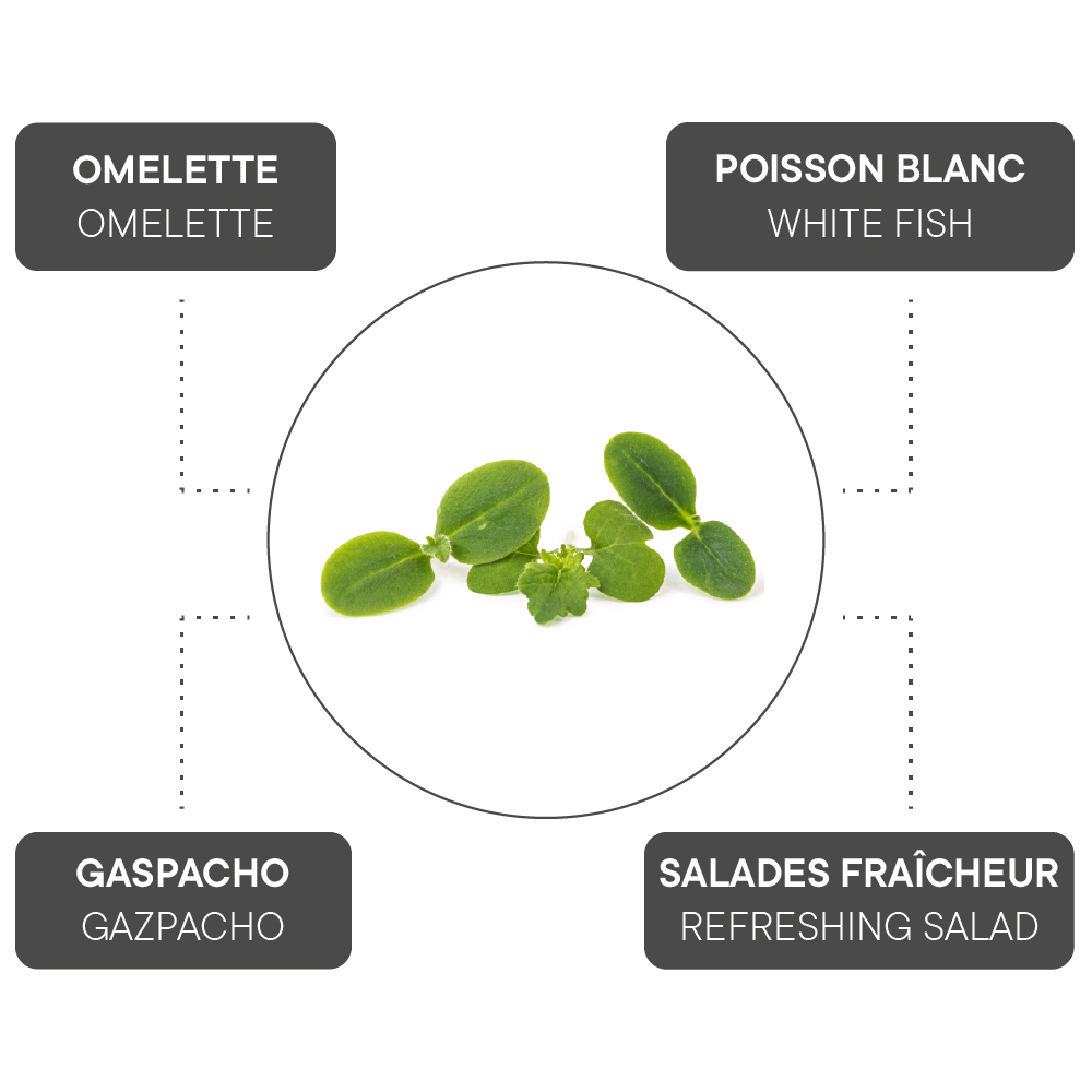 How to combine Borage?