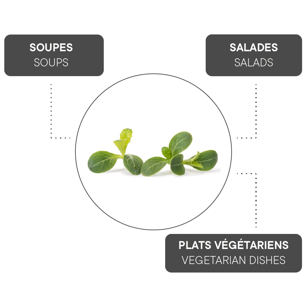 How to combine Milk thistle?