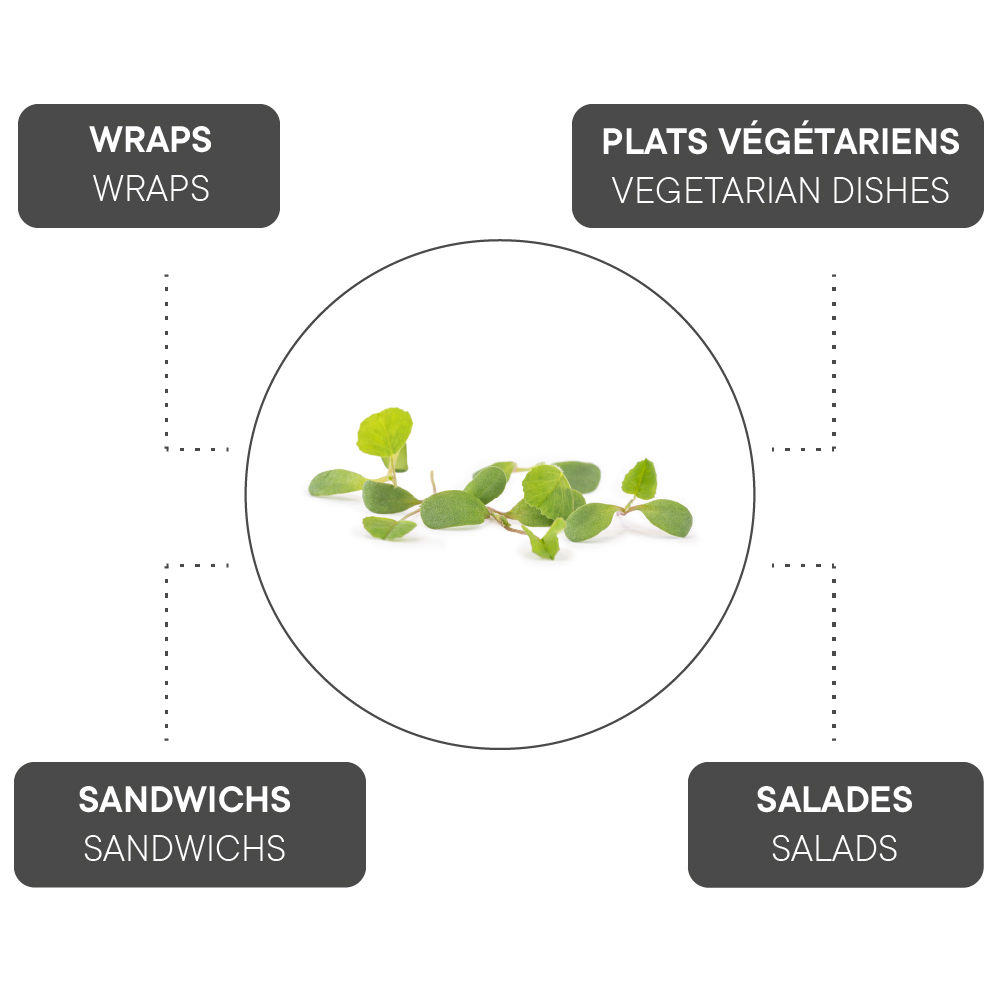 How to combine Alfalfa?