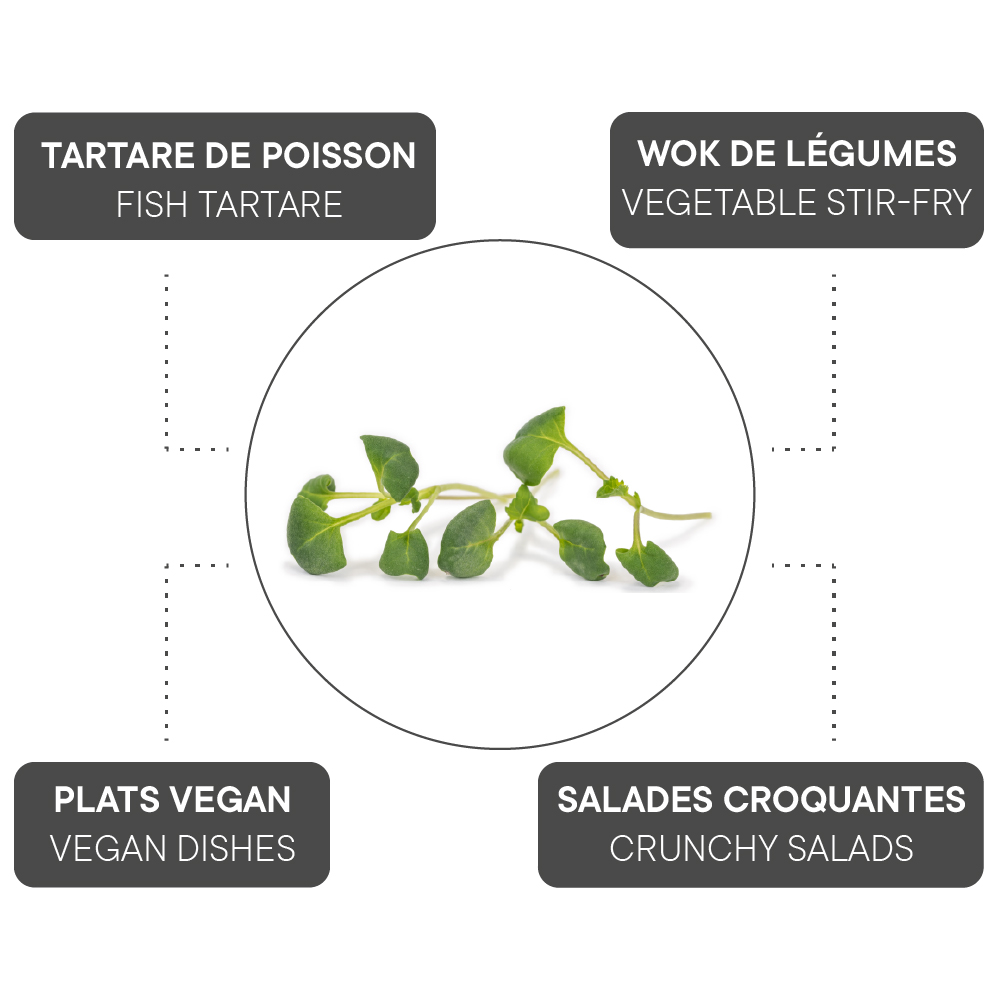 How to combine Broccoli?