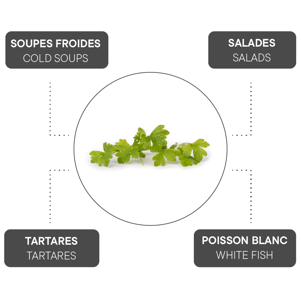 How to combine Celery?