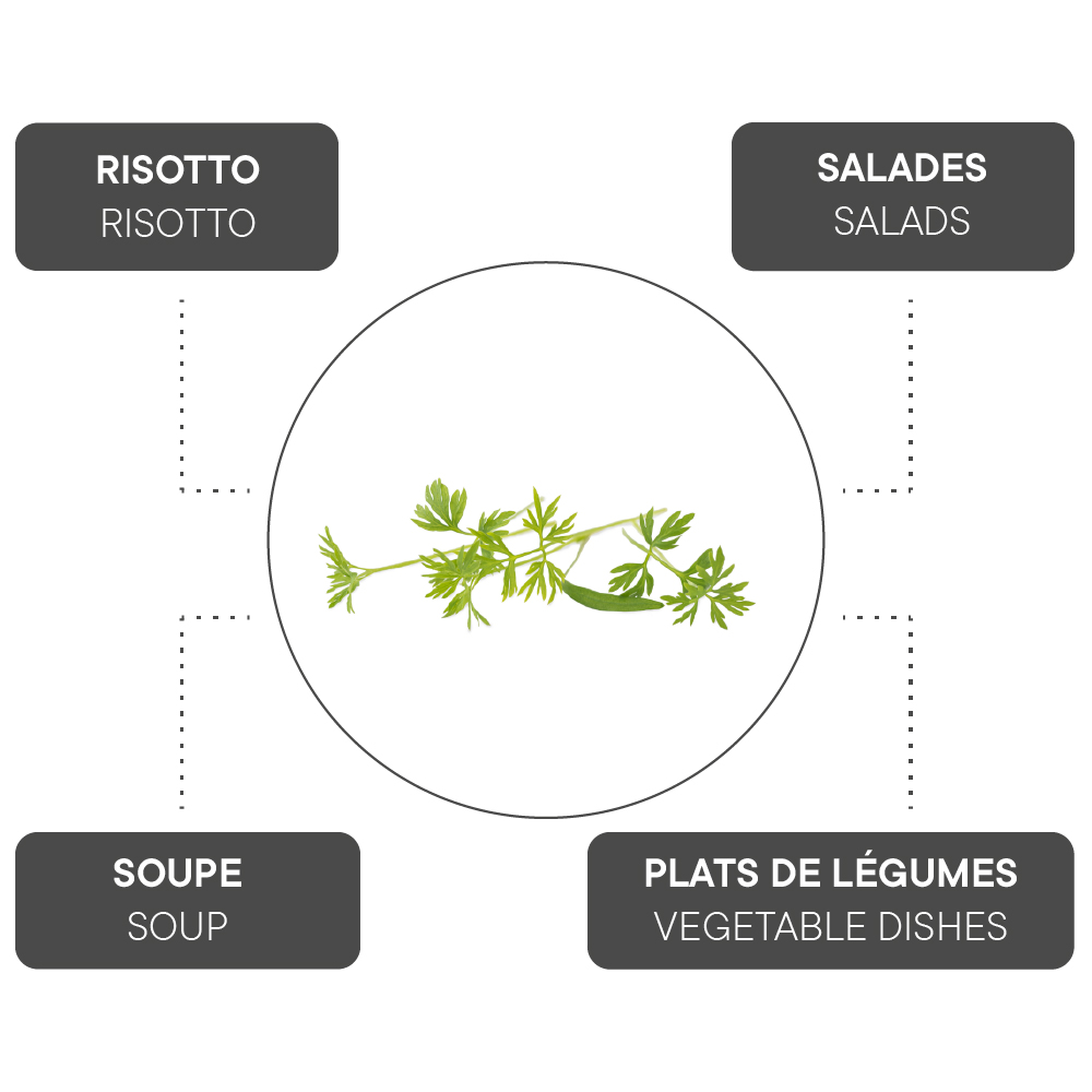 How to combine Carrot?