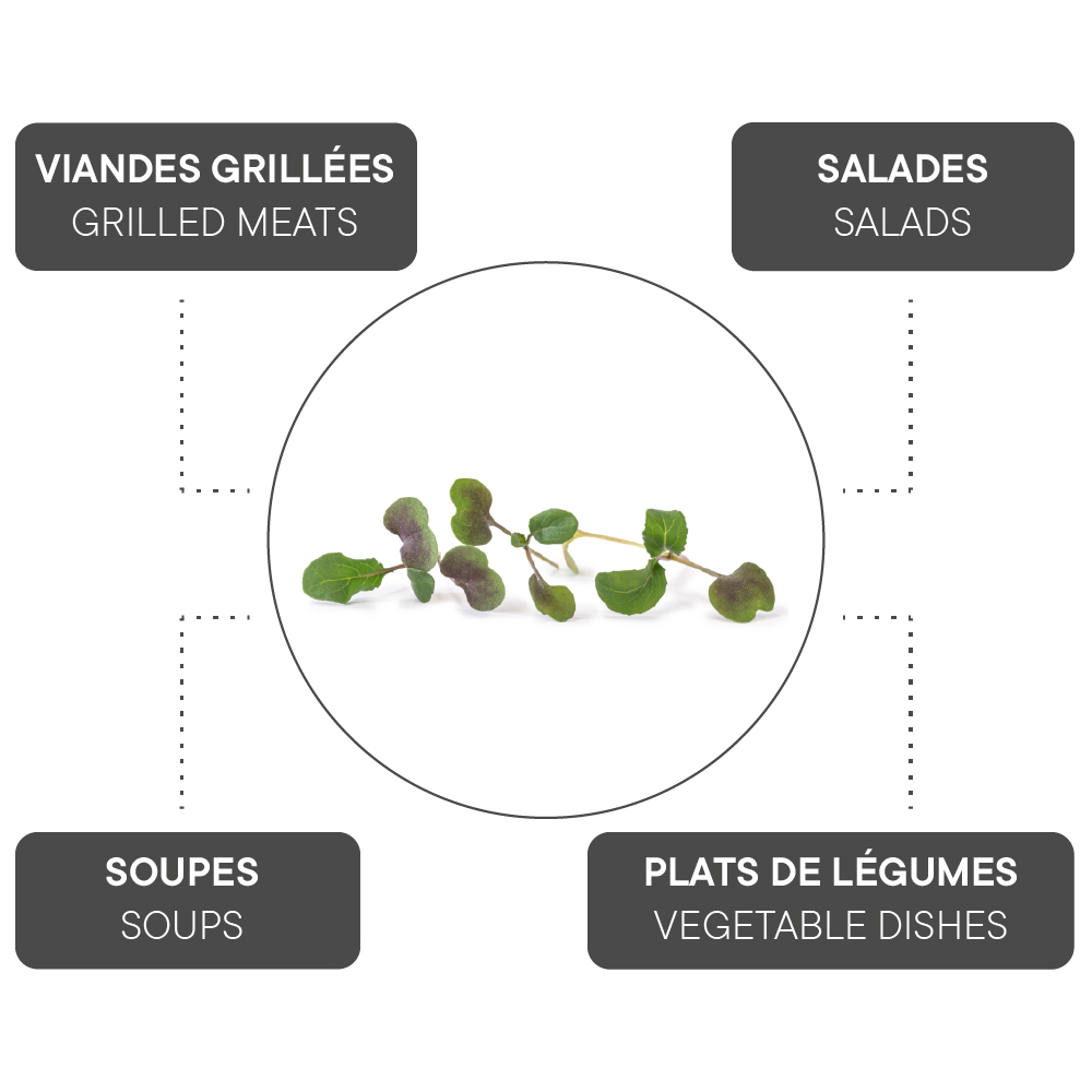 How to combine Red kale?