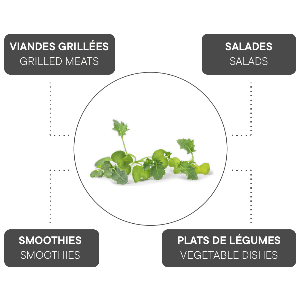 How to combine Green kale?