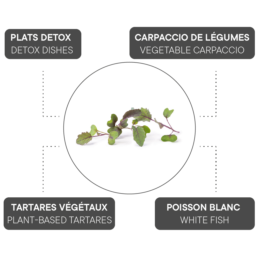 How to combine Kohlrabi?