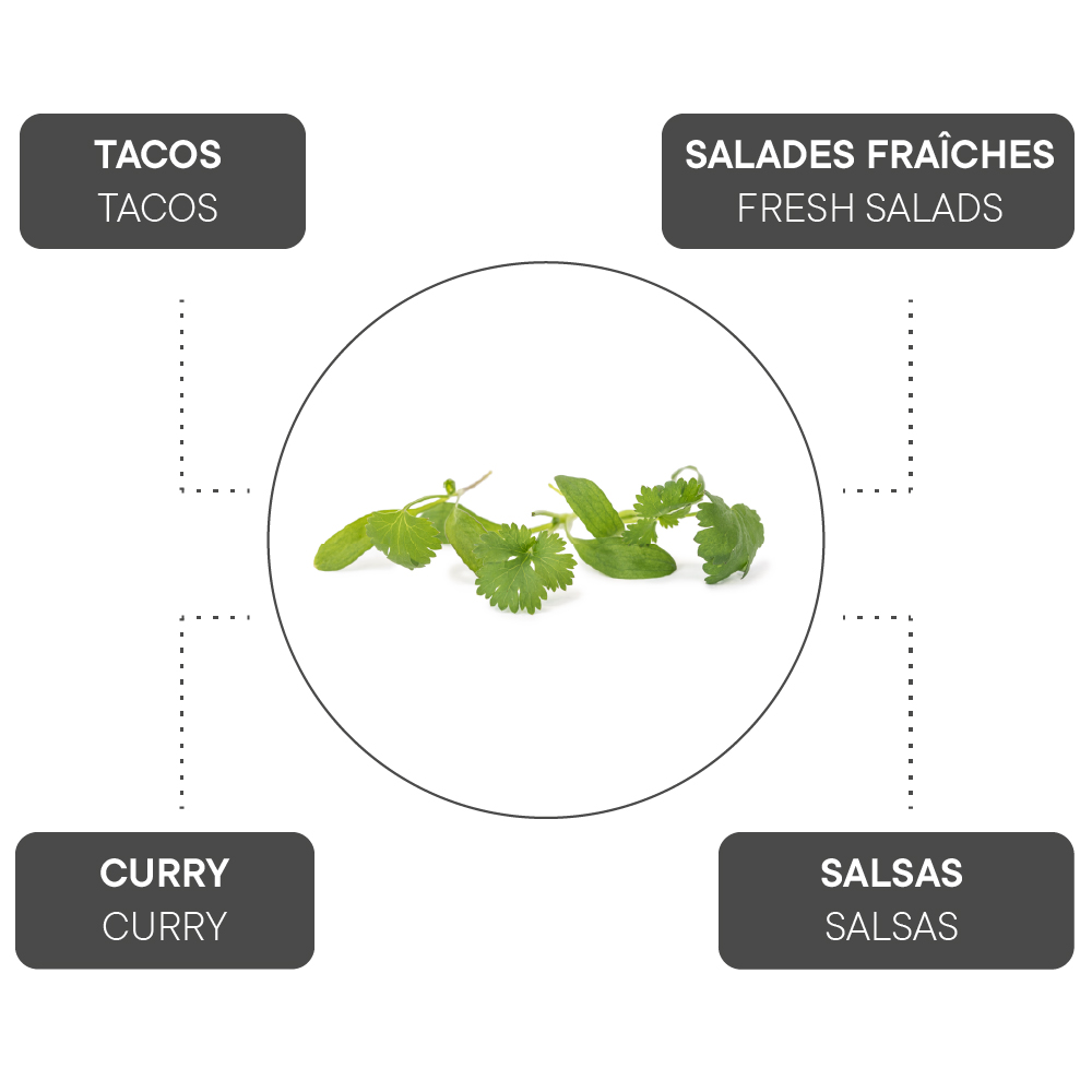 How to combine Coriander?