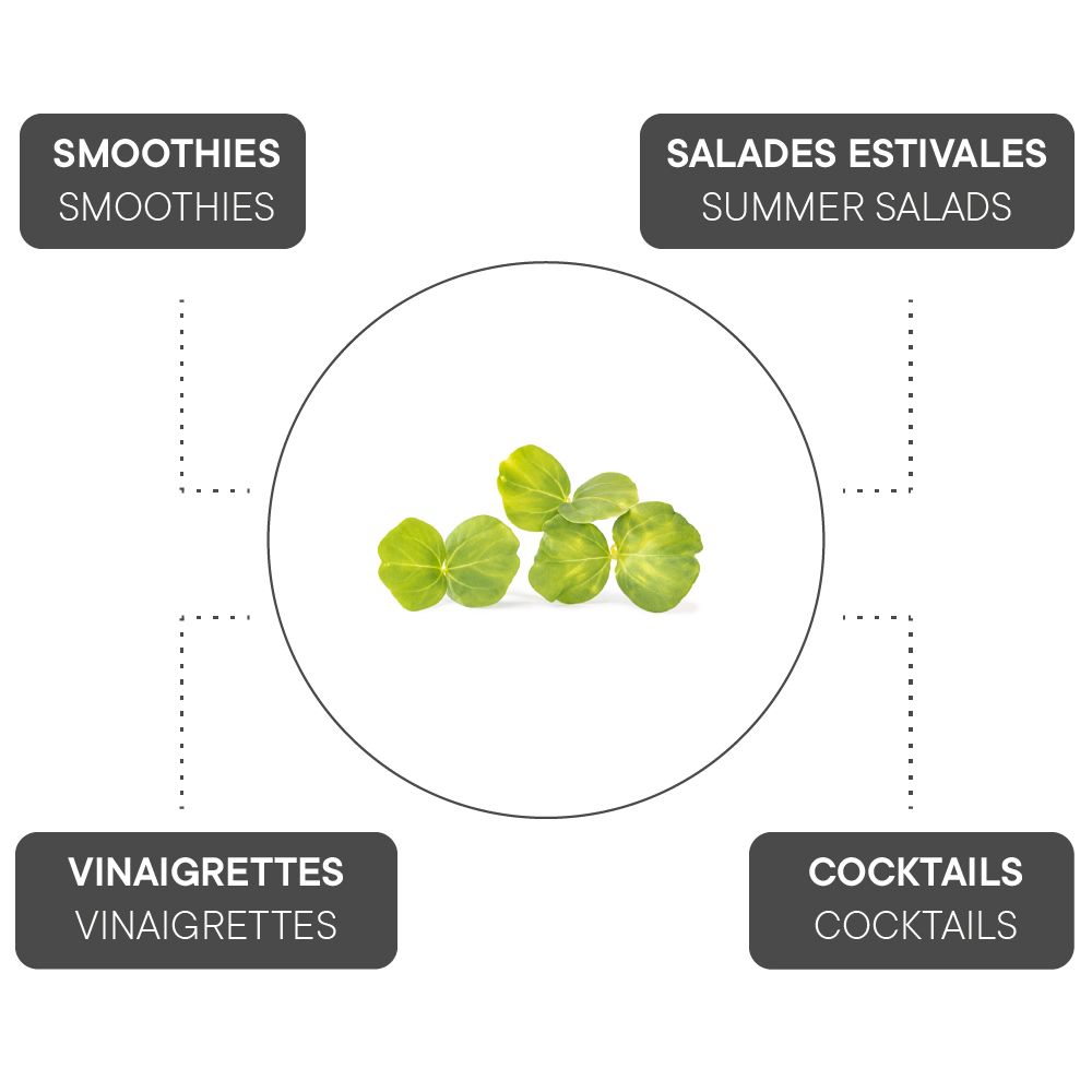 How to combine Hibiscus?