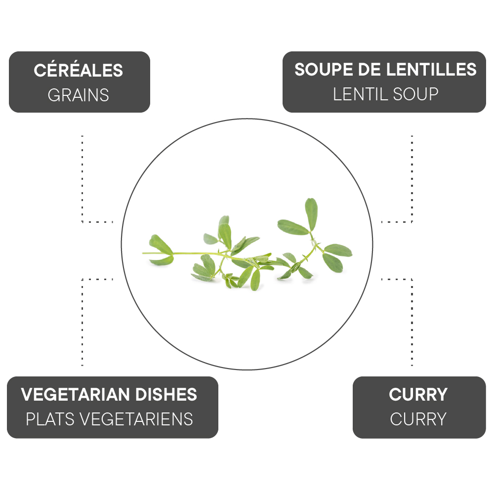 How to combine Red lentils?