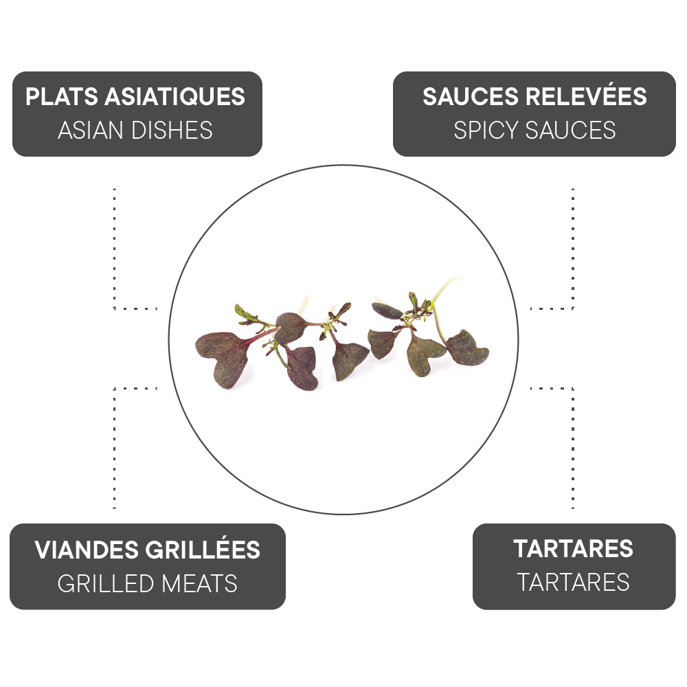 How to combine Red mustard?