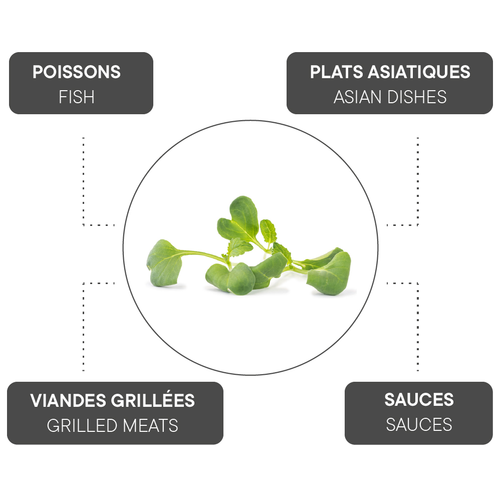 How to combine White mustard?