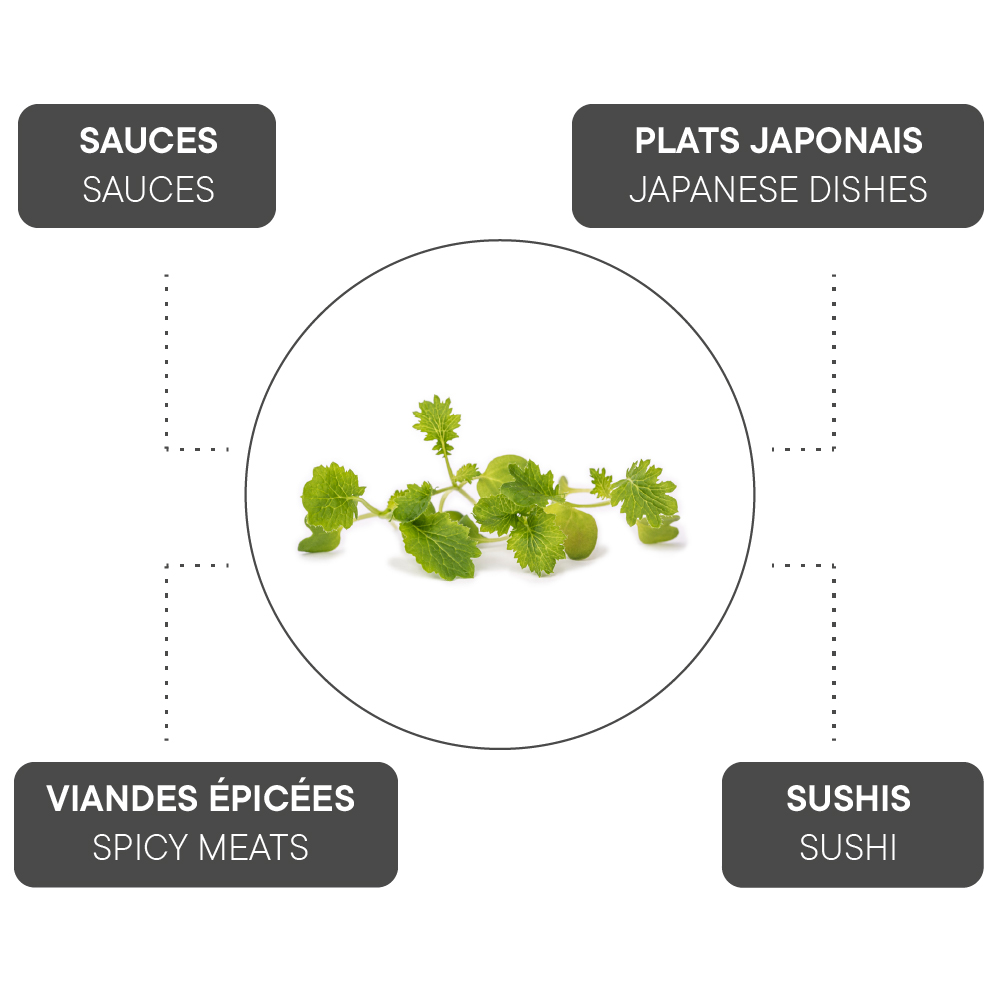 How to combine Wasabi mustard?