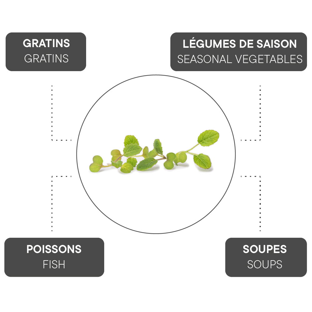 How to combine Turnip?