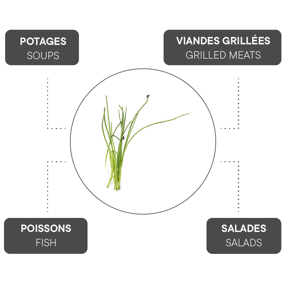 How to combine Leek?