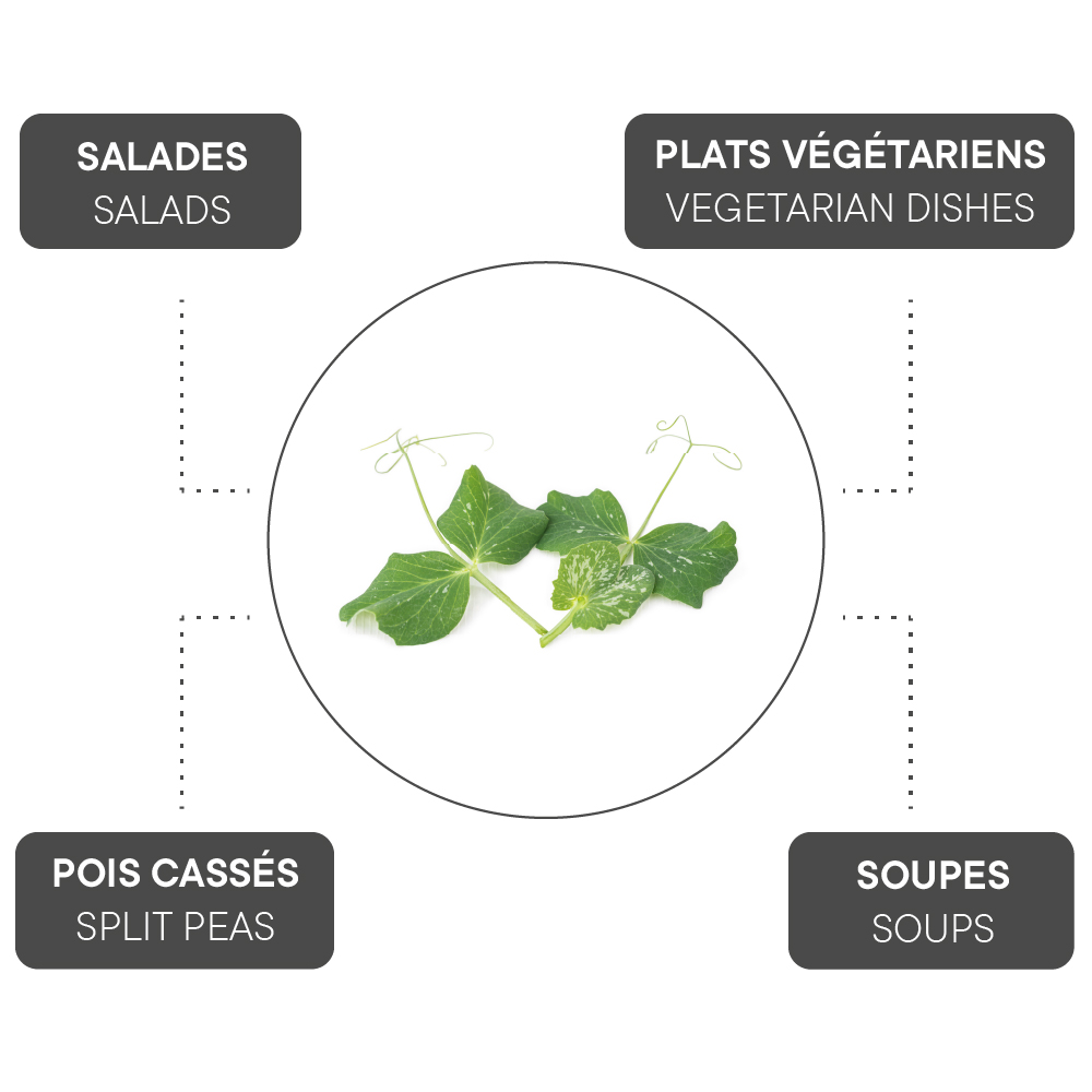 How to combine Peas?