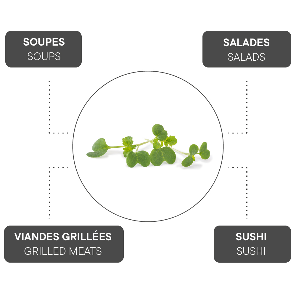 How to combine Daikon radish?