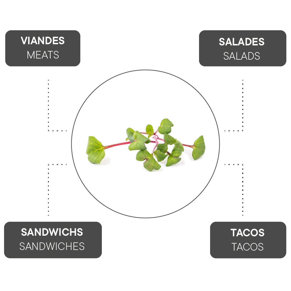 How to combine Pink radish?